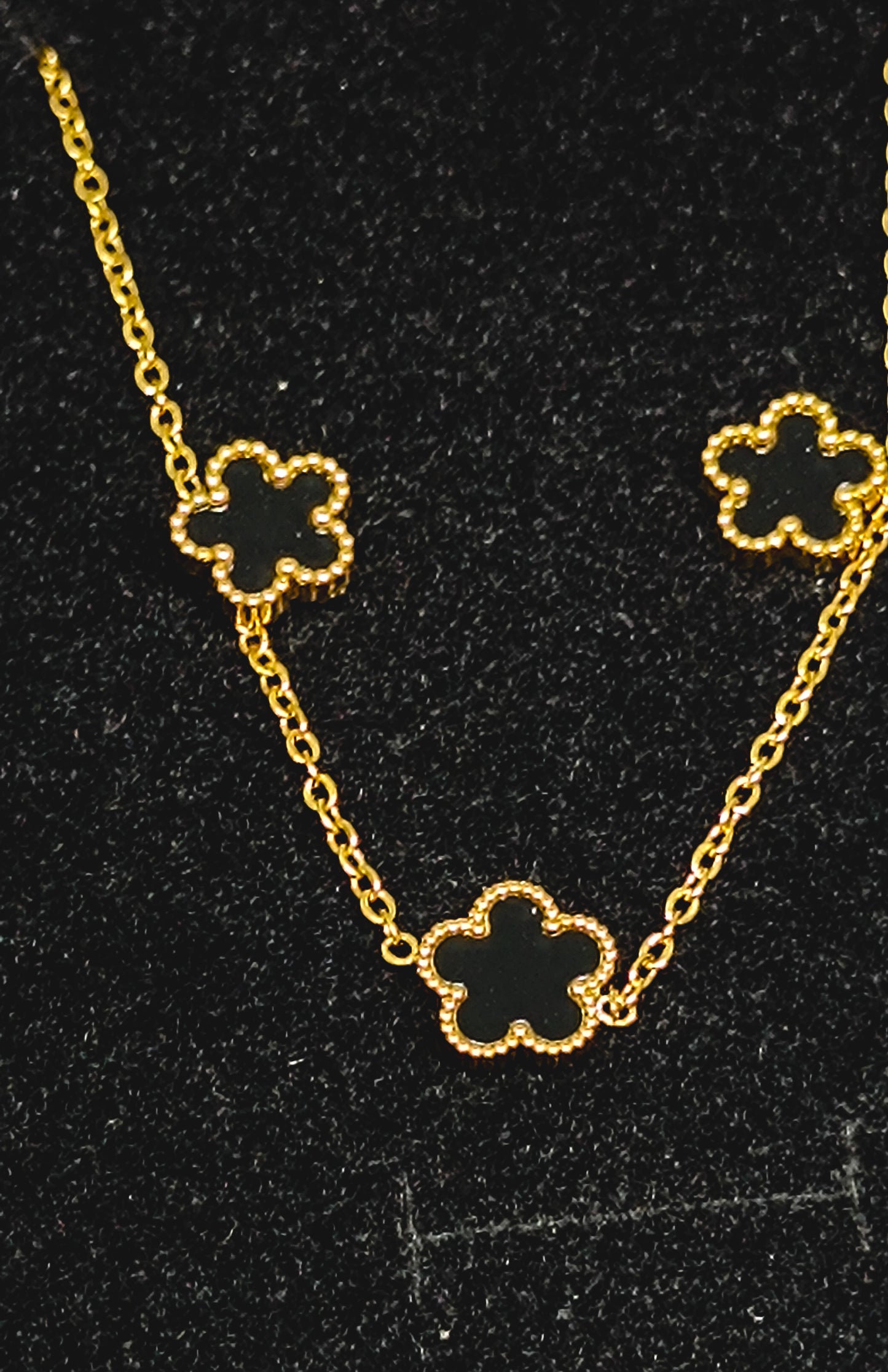 Conjunto STACIE