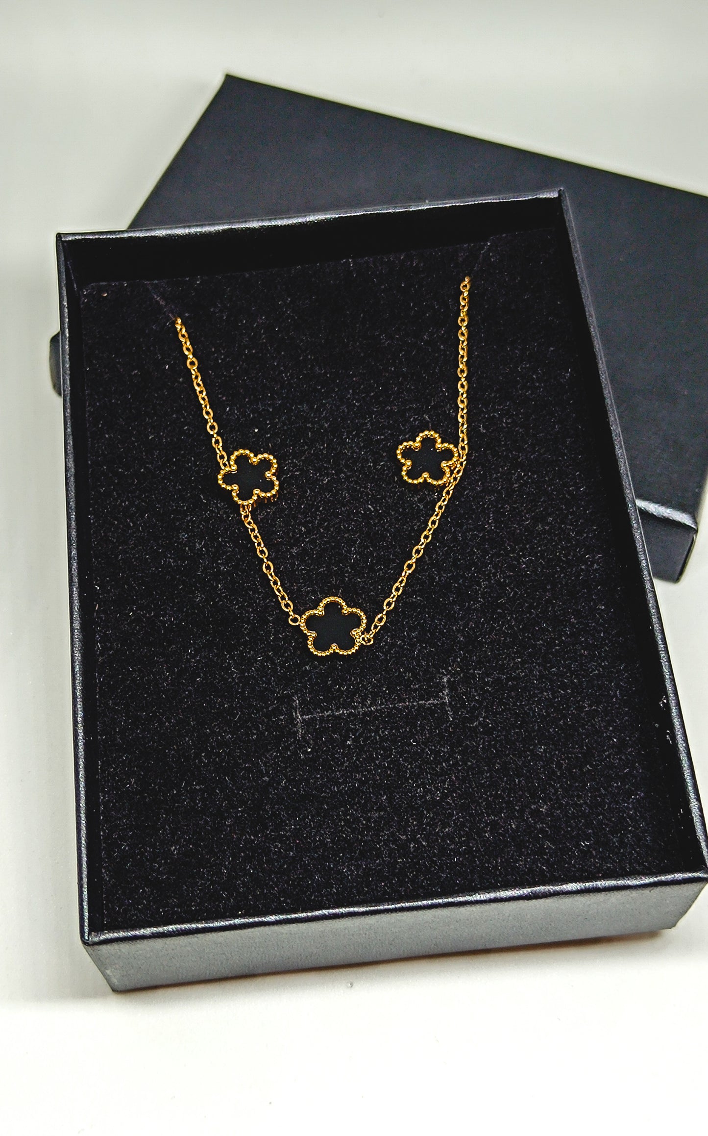 Conjunto STACIE