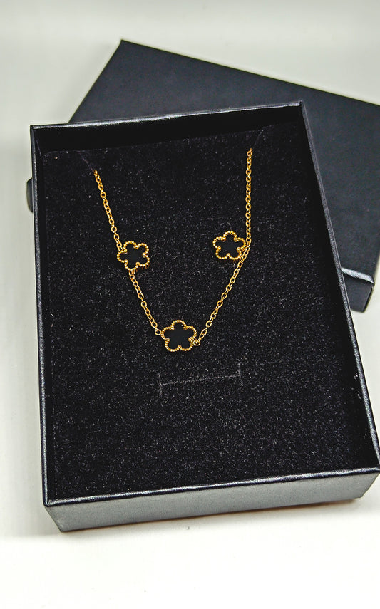 Conjunto STACIE